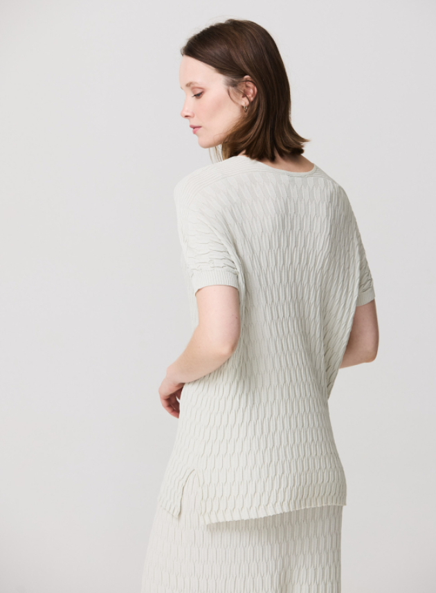 Escorpion Malha fantasia