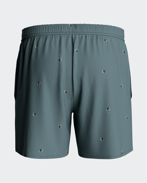 Impetus Swim shorts